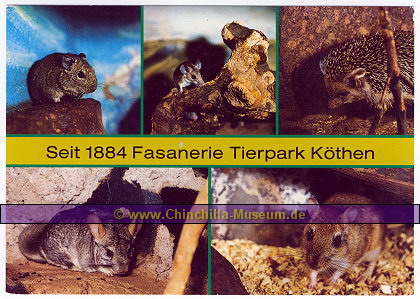 Fasanerie Tierpark Kthen