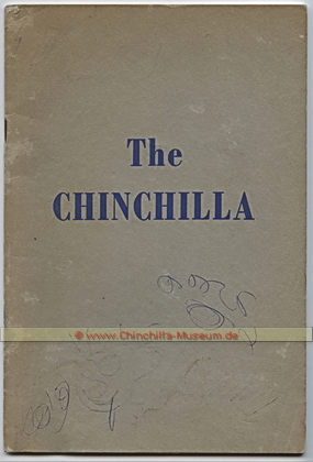 The Chinchilla by Frederico Albert