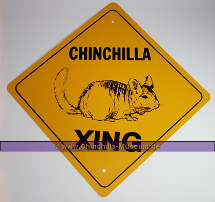 CHINCHILLA XING